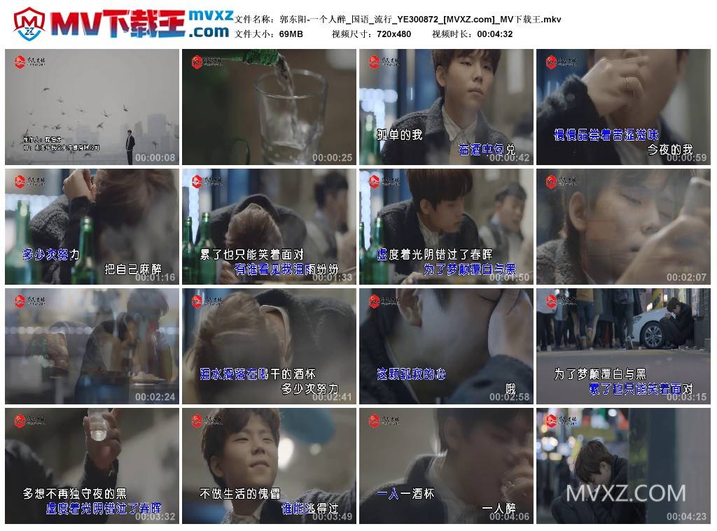 郭东阳-一个人醉_国语_流行_YE300872